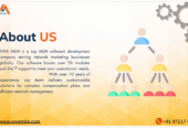 Best MLM Software Company In Lucknow