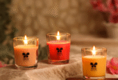 IRIS Home Fragrances Premium Diffusers, Candles & Gift