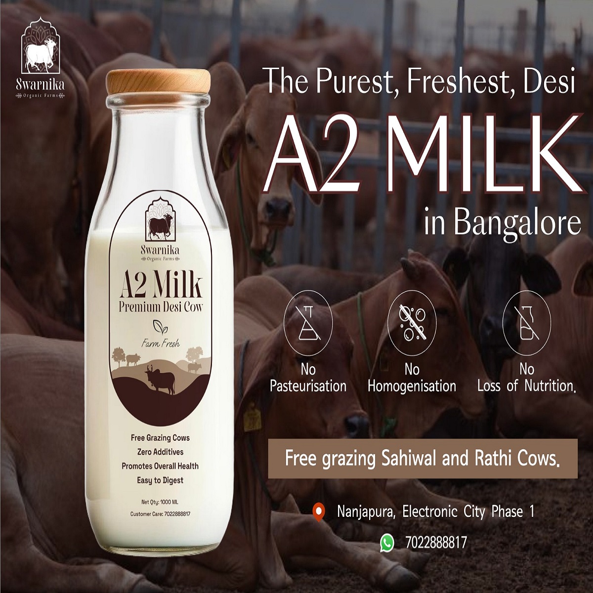 Buy Pure A2 desi Cow milk In Electronic city Bangalore