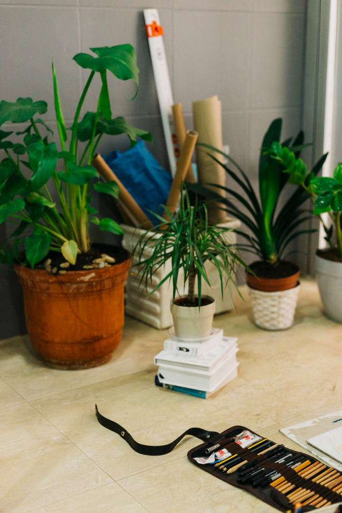 Fresh Office Vibes with Air Purifier Plants
