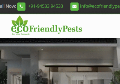 ecofriendly-home-page-photo