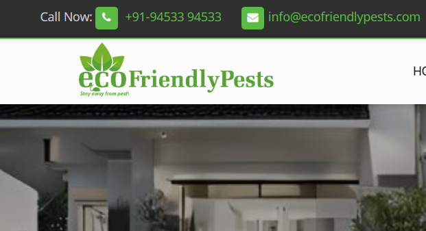 Pest Control Services in Mumbai – 100% Hygienic & Eco-