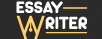 essay-logo-234