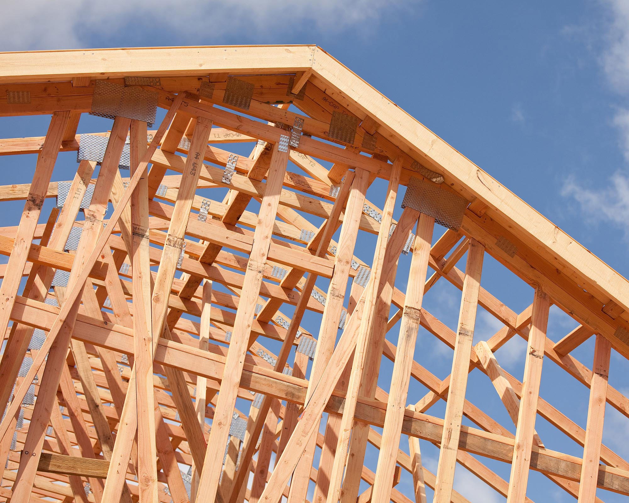 Simplify Your Cleanups with Affordable and Reliable Bi