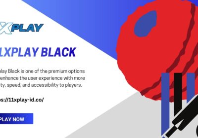 11xplay-black