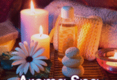 Spa Berry Vadodara Massage & Wellness Center 851132204