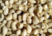 wholesaler supplier -cashew nuts- SONIPAT
