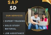 Shresta Trainings- SAP SD Training Institute in Hydera