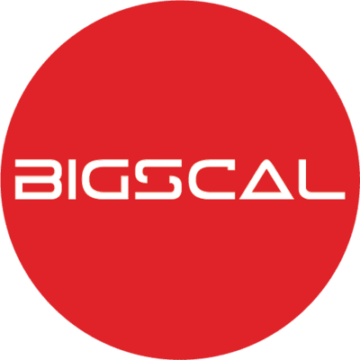 Bigscal The Ultimate Software Development Company