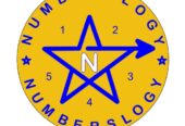 Best Numerologist & Vastu Expert in Delhi NCR |