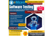 Software Testing Placement in Electronic City, Bangalo