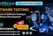 Software Testing Placement in Electronic City, Bangalo
