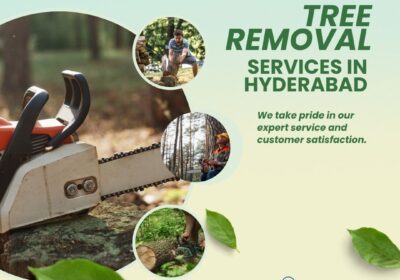 Tree-Removal-Services-in-Hyderabad