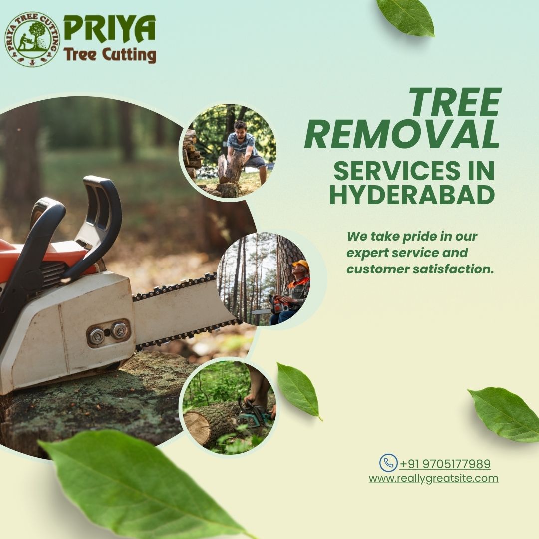 Tree Removal Services in Hyderabad | Priya Tree Cuttin