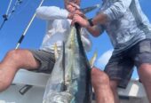 Costa Rica Fishing Charters – Experience World-Class O