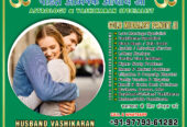 Indian Vashikaran Expert