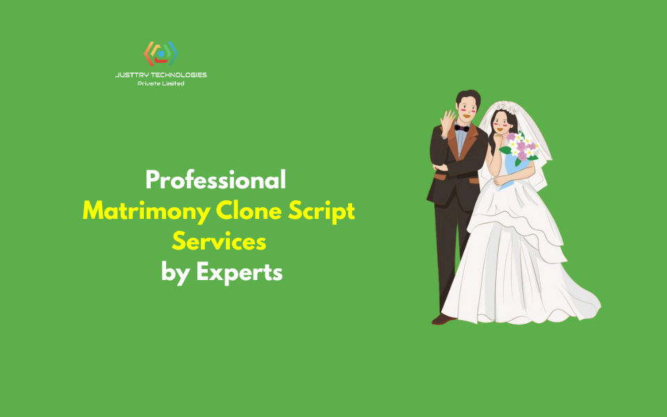 Professional Matrimony Clone Script Services by Expert