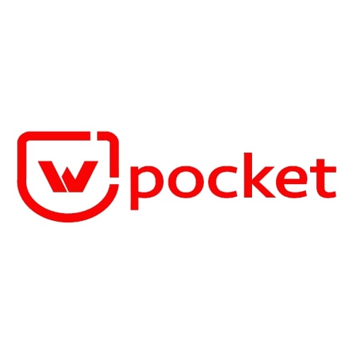 Webinpocket Your Digital Sarthi Web Development Compan