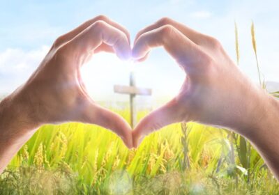 17463-gettyimages-davizro-1