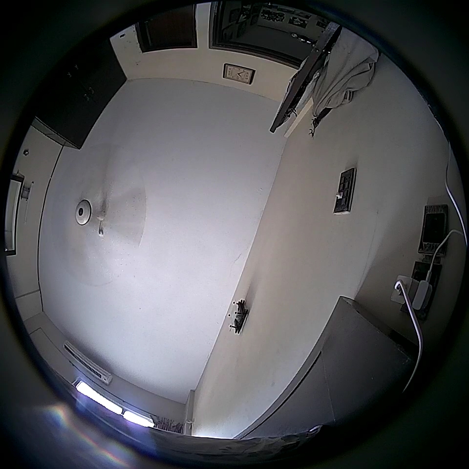 Easy Online Jobs In Pakistan (DDGA3ZJG3B)