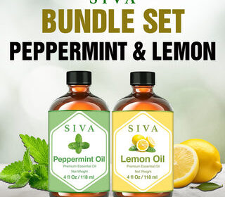 Image2_d480e8a6-6f61-41a5-910c-70a7b29ab97c