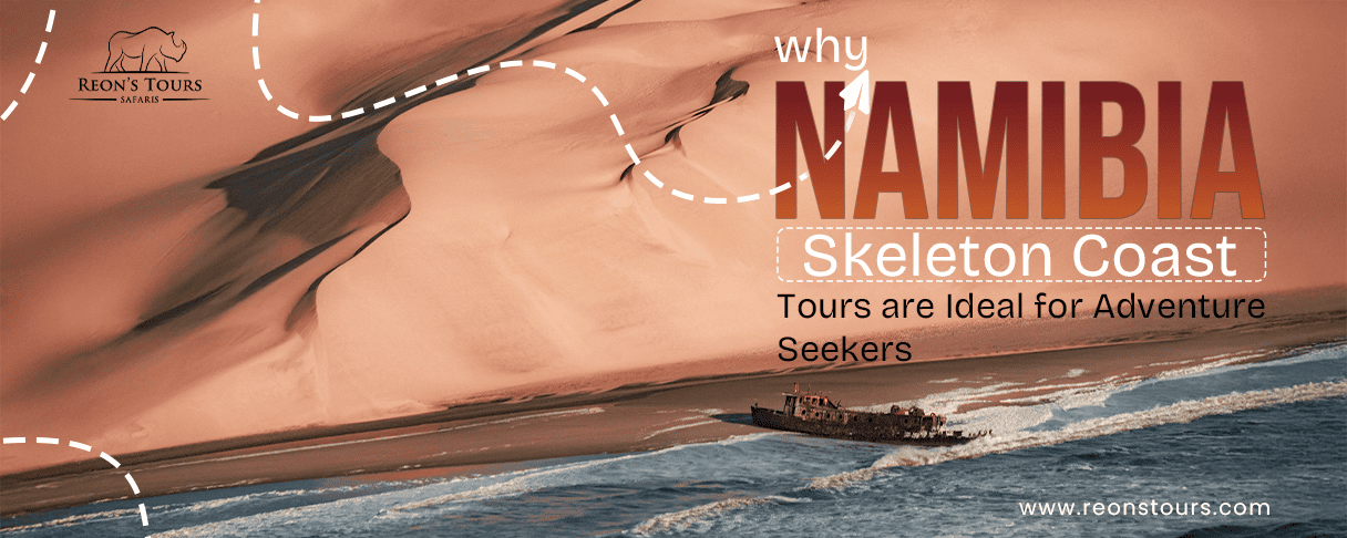 Why Namibia Skeleton Coast Tours are Ideal for Adventu