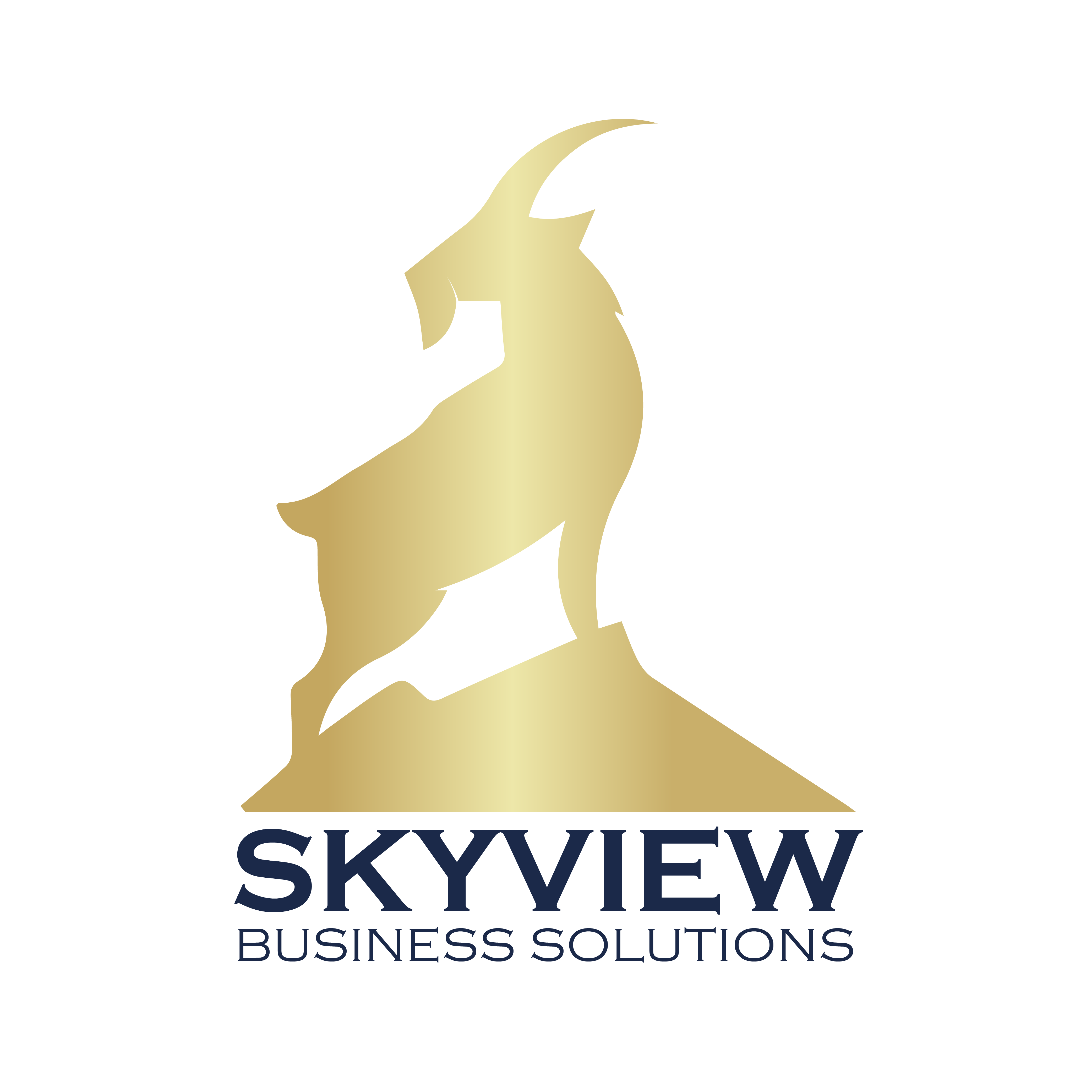 Custom Software Development Company in Noblesville