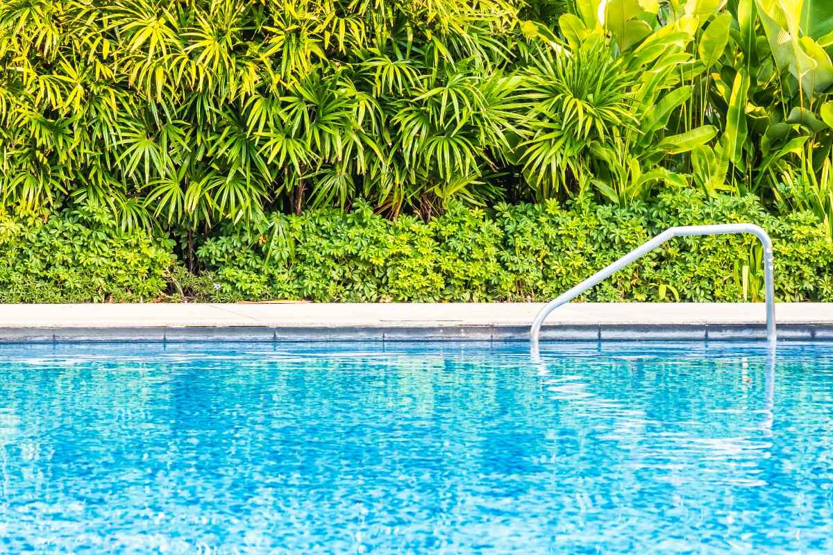 Swimming Pool Contractors Near me