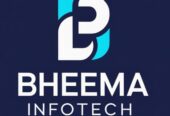Bheema Infotech offers custom software development,