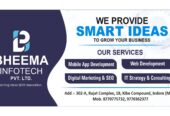 Bheema Infotech offers custom software development,