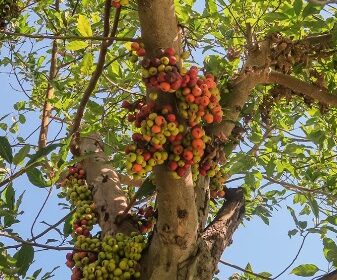 WhatsApp_Image_2024-01-18_at_10_59_39