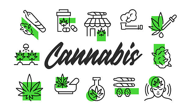 Paradise Cannabis: Niagara Falls’ Premier Dispensary