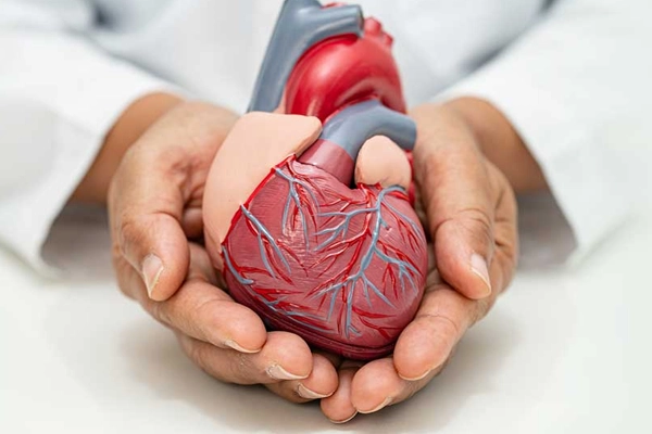 Advanced Kidney Transplant at VIMS Hospital in Salem