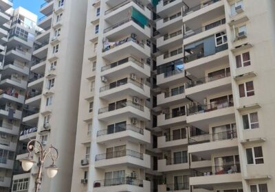 d6c8b33859ebf3a6b27f45e9e3583ac4