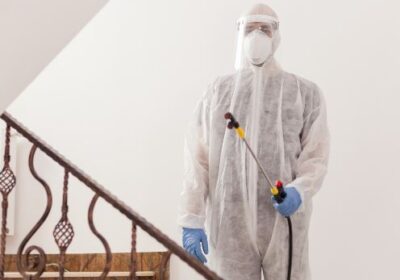 pestcontrolservices.pk_