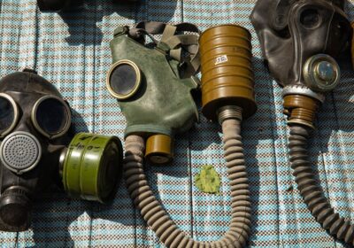 pexels-19×14-11499400