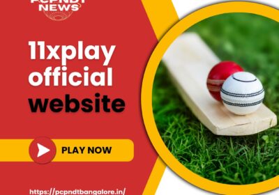 11xplay-official-website-2