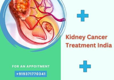 Kidney-Cancer-Treatment-India