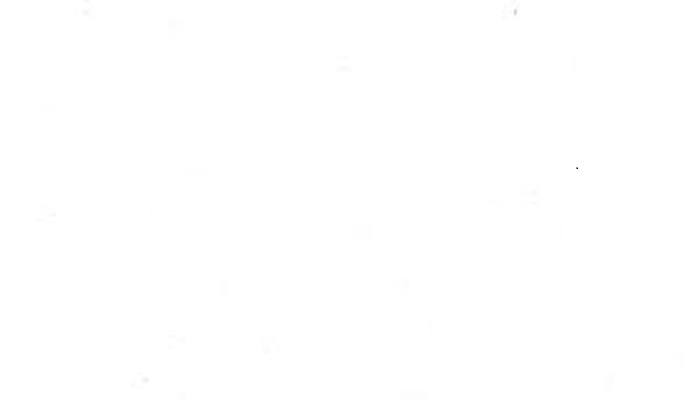 Evolution Casino: A Practical Action Plan for Safer,