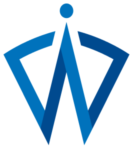 Vin Bytes – Digital Transformation & Technology Consul